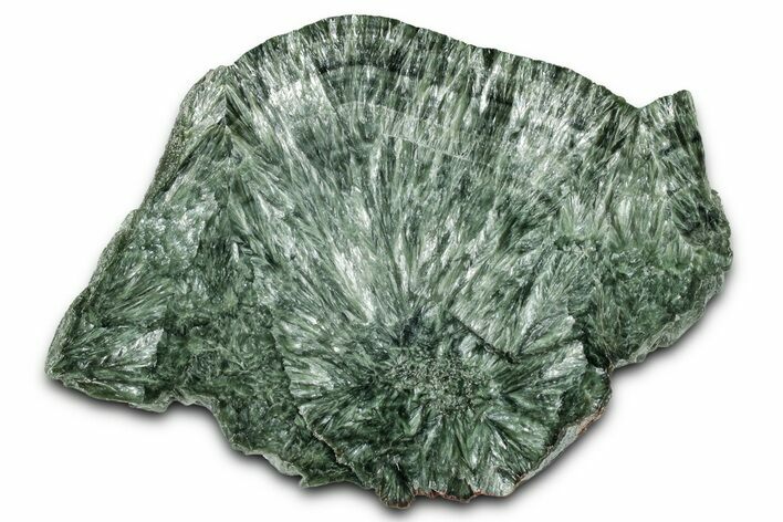 Polished Seraphinite Slab - Korshunovkiy Mine, Siberia #354256